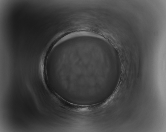 X0000087530054200705181038