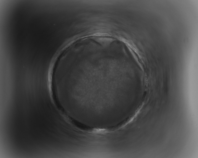 X0000087530055200705181038