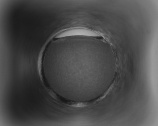 X0000087530056200705181038