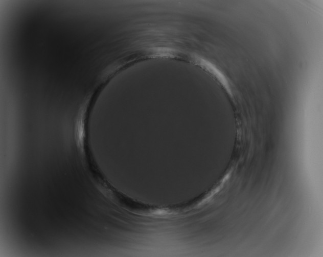 X0000087530059200705181038