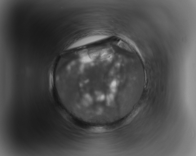X0000087530061200705181038