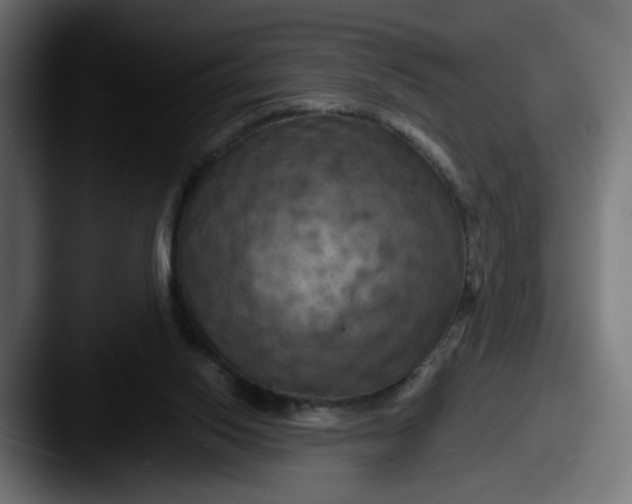 X0000087530062200705181038