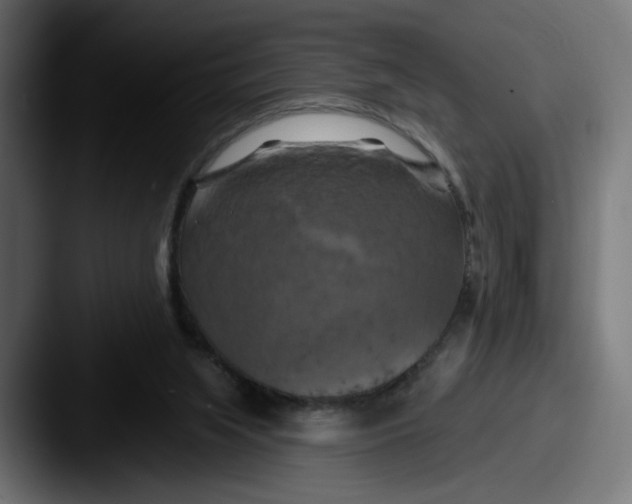 X0000087530063200705181038