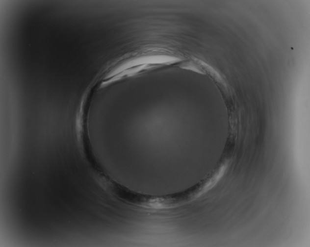 X0000087530064200705181038