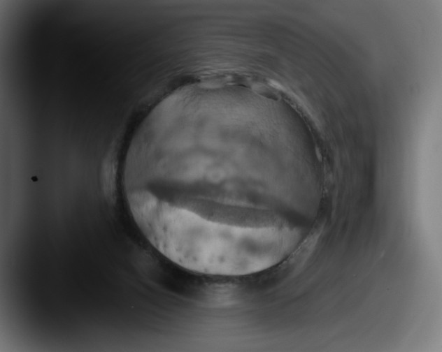 X0000087530066200705181038