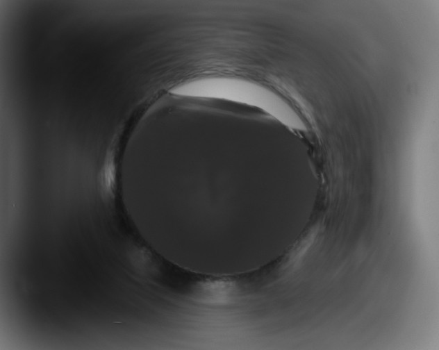 X0000087530067200705181038