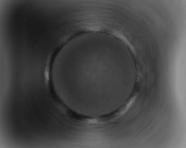 X0000087530068200705181038