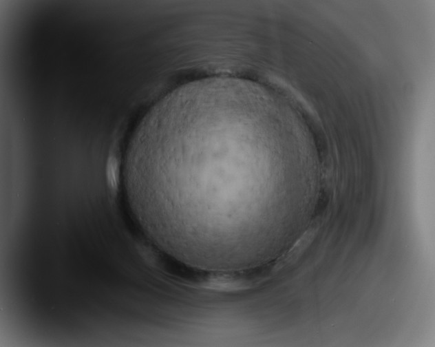X0000087530070200705181038