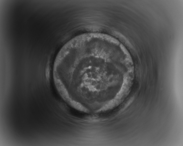 X0000087530071200705181038