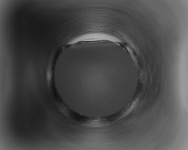 X0000087530072200705181038