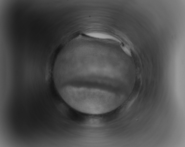 X0000087530073200705181038