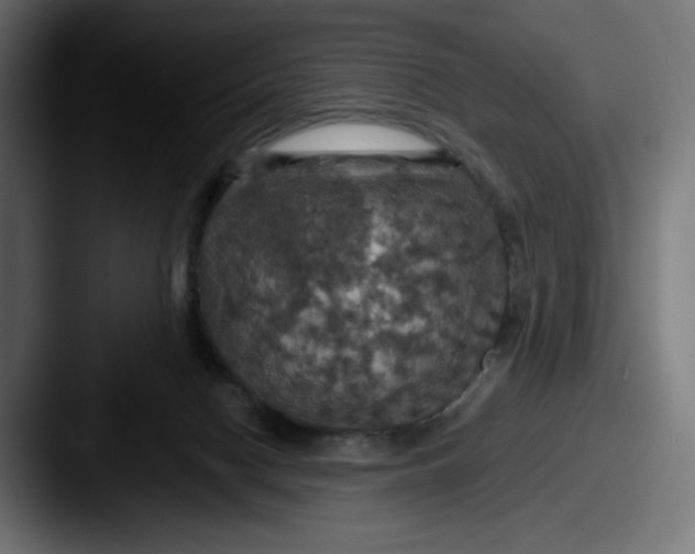 X0000087530074200705181038