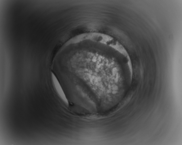 X0000087530075200705181038