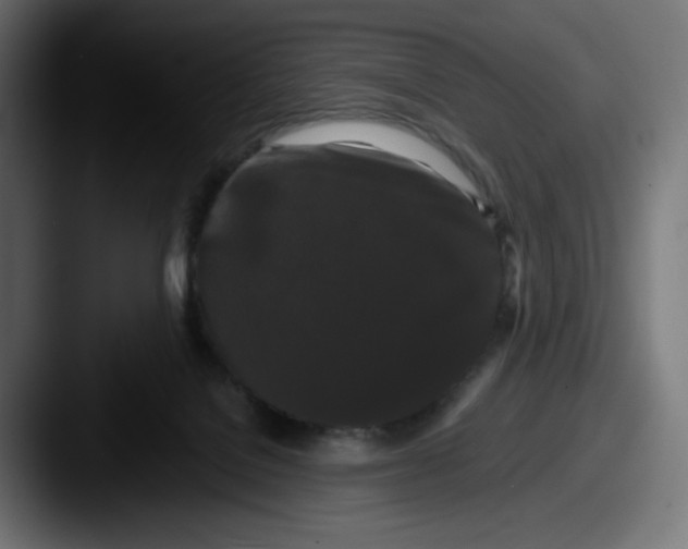 X0000087530076200705181038