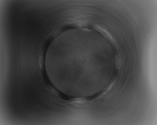 X0000087530077200705181038