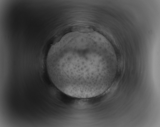 X0000087530078200705181038