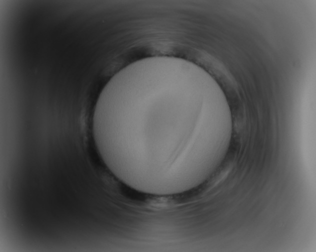 X0000087530079200705181038