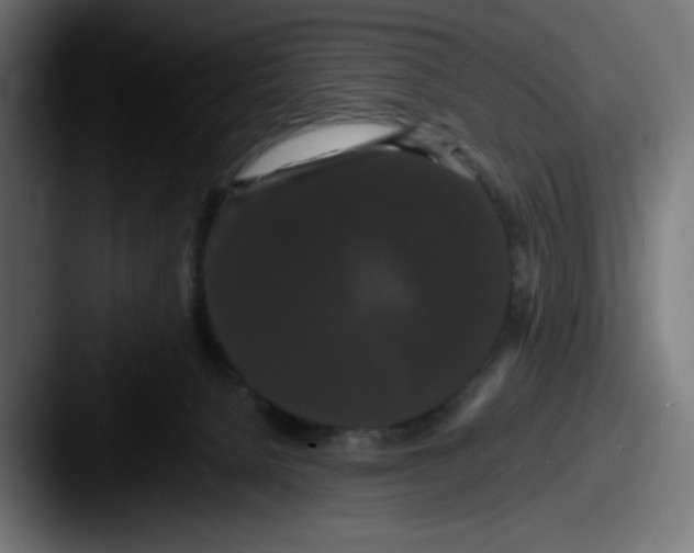 X0000087530080200705181038
