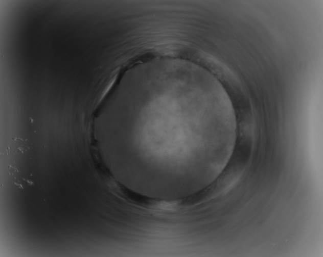 X0000087530081200705181038