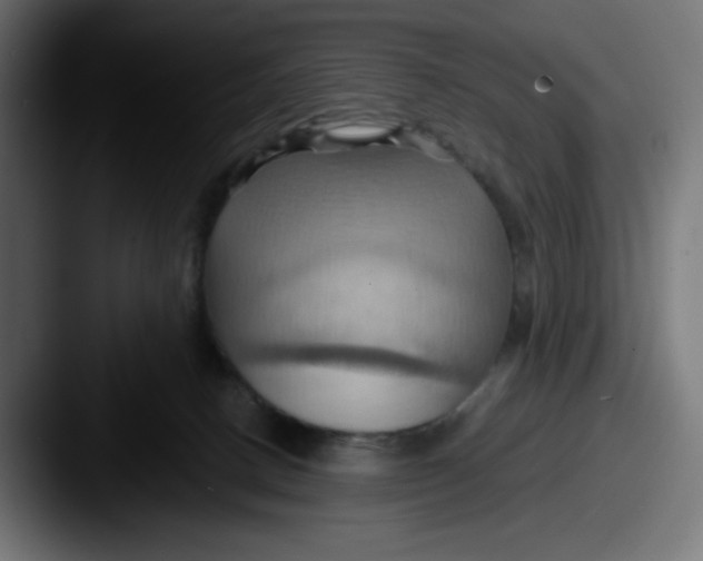 X0000087530082200705181038