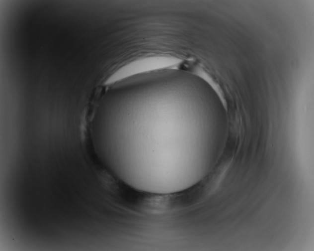 X0000087530084200705181038
