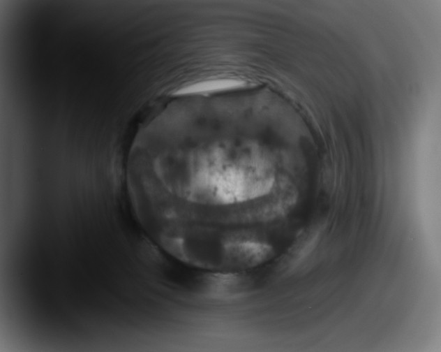 X0000087530085200705181038