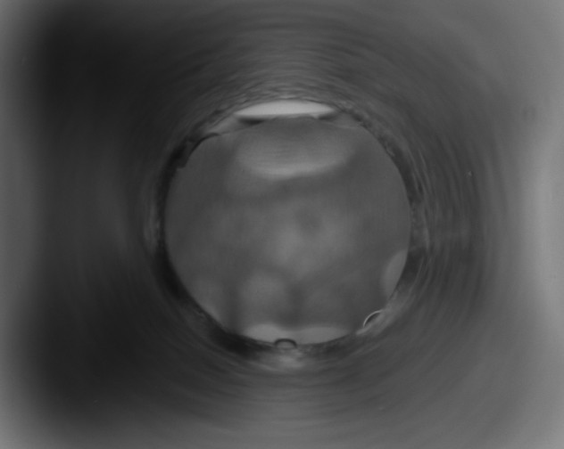X0000087530086200705181038