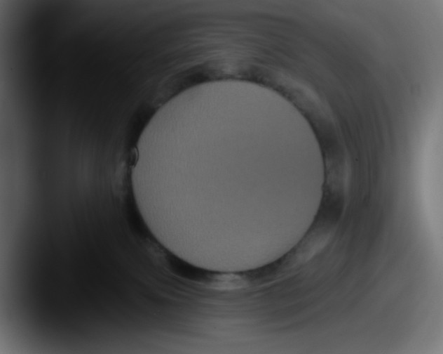 X0000087530087200705181038