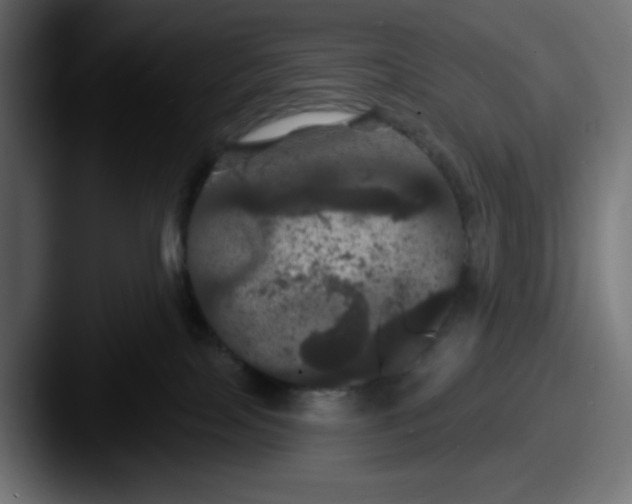 X0000087530089200705181038
