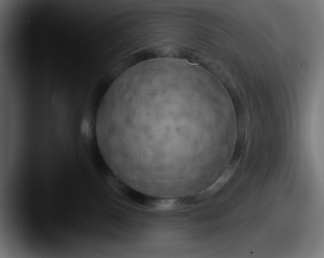X0000087530090200705181038