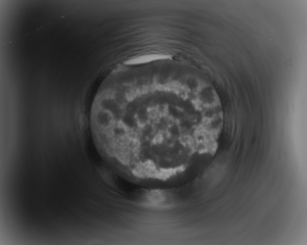 X0000087530091200705181038