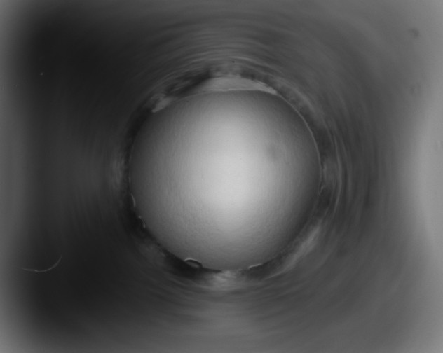 X0000087530092200705181038