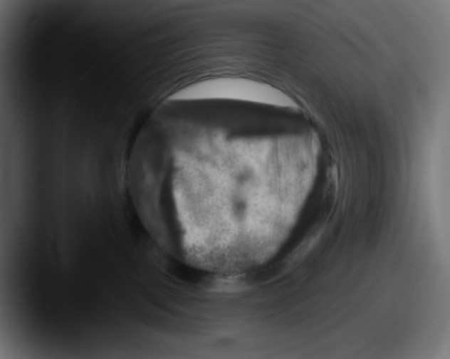 X0000087530093200705181038
