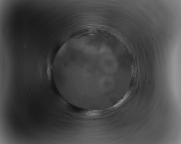 X0000087530094200705181038