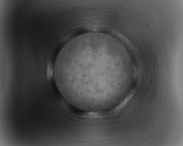 X0000087530095200705181038