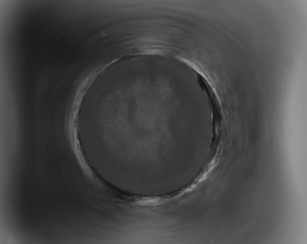 X0000087530097200705181038