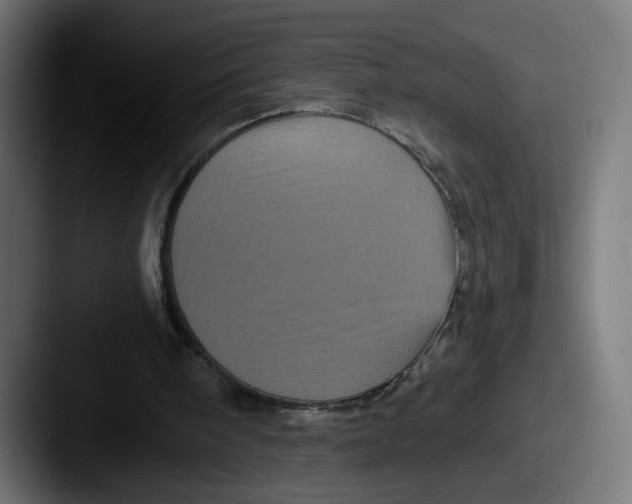 X0000087530098200705181038