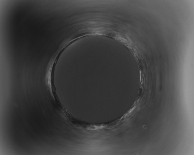 X0000087530099200705181038