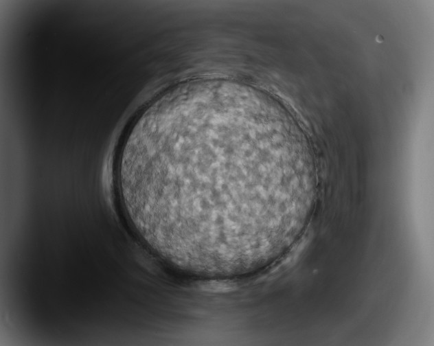 X0000087530102200705181038