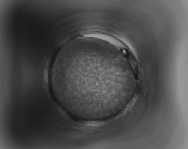 X0000087530105200705181037