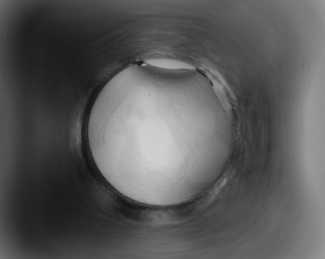X0000087530106200705181037