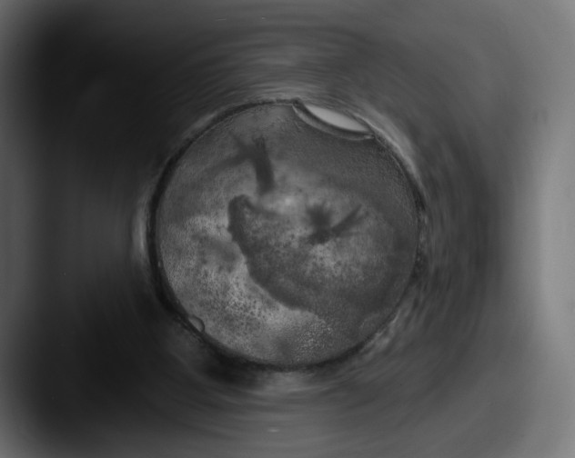 X0000087530107200705181037