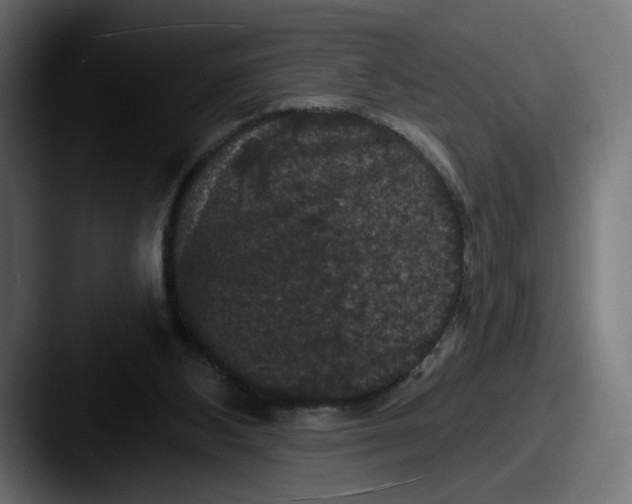 X0000087530108200705181037