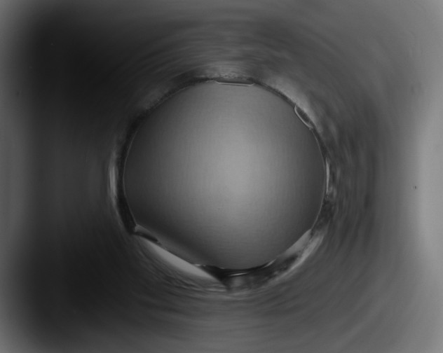 X0000087530109200705181037