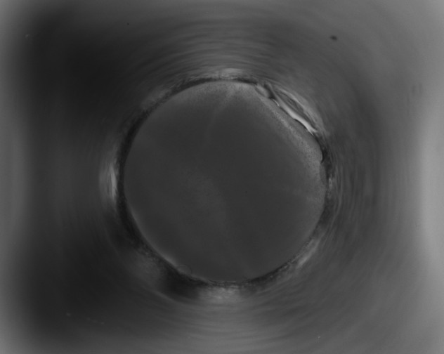 X0000087530110200705181037