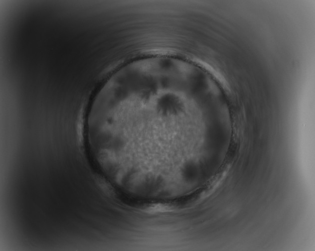 X0000087530111200705181037