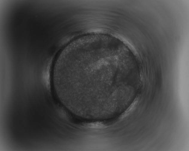 X0000087530112200705181037