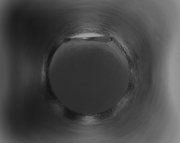 X0000087530114200705181037