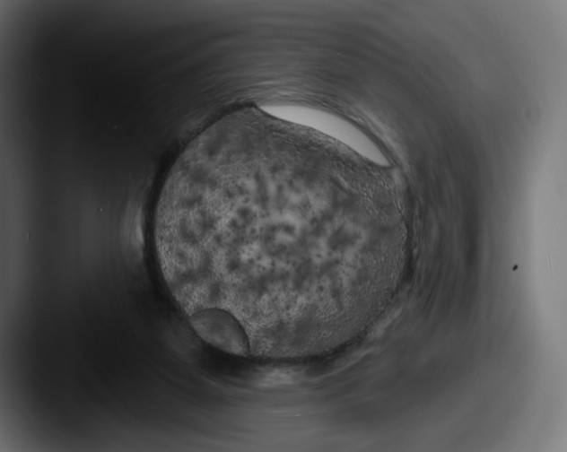 X0000087530115200705181037