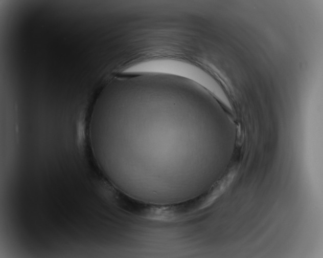 X0000087530117200705181037